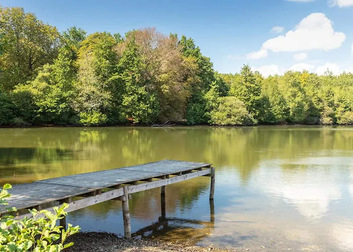 Camping Chateau La Foret *